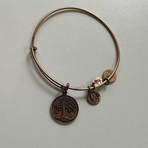 EUC - Alex and Ani Tree of Life 2014 Bracelet